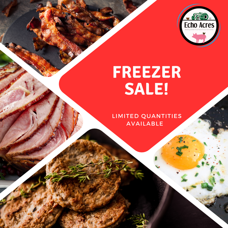 Freezer Blowout Sale