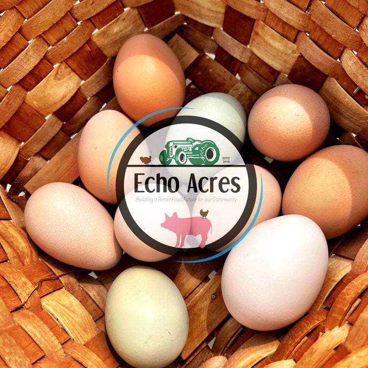 Non-GMO Pasture Raised Eggs