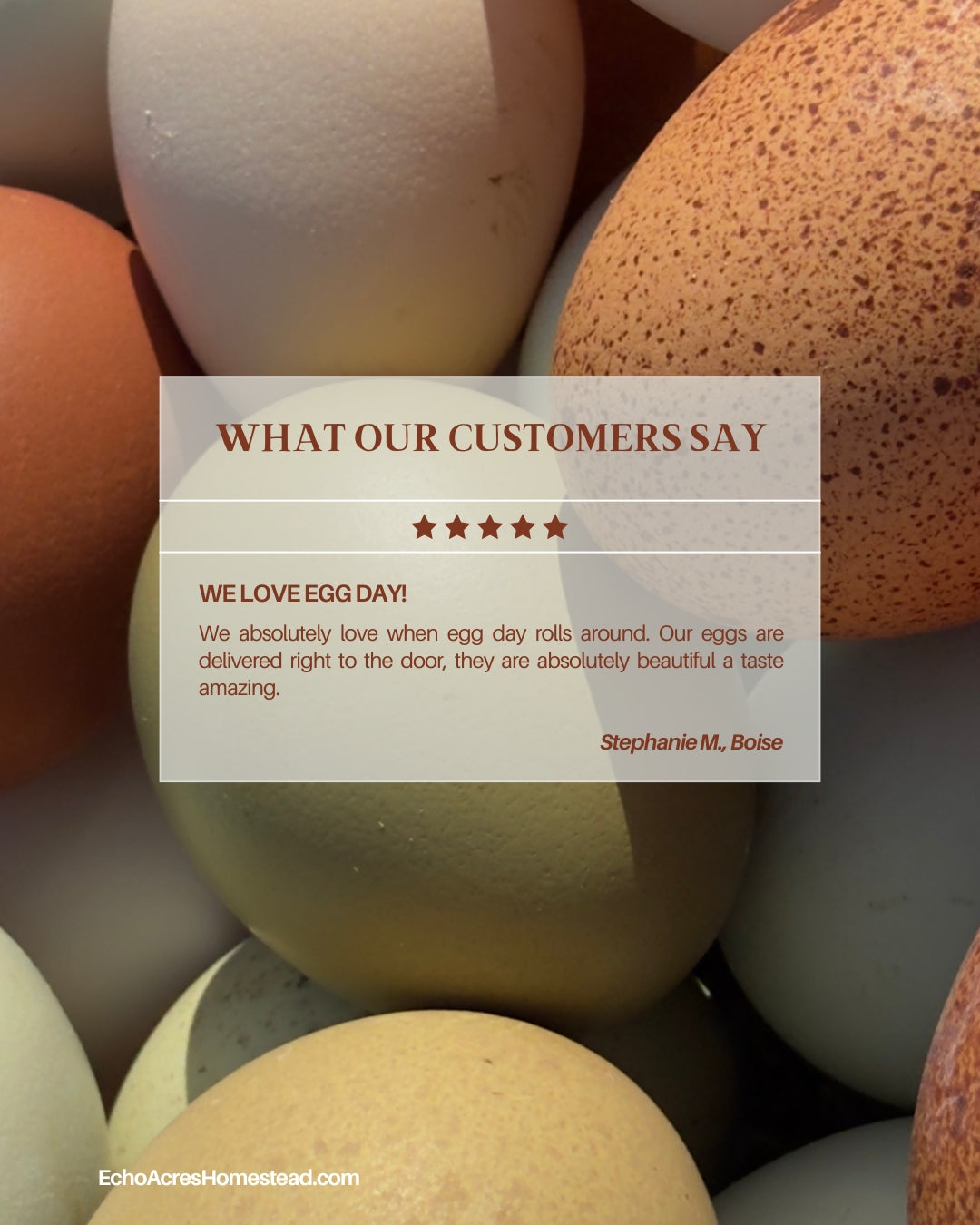 Non-GMO Soy Free Rainbow Eggs - One Dozen - Free Delivery | Tuesdays | Payette, Canyon, Ada, Malheur Counties