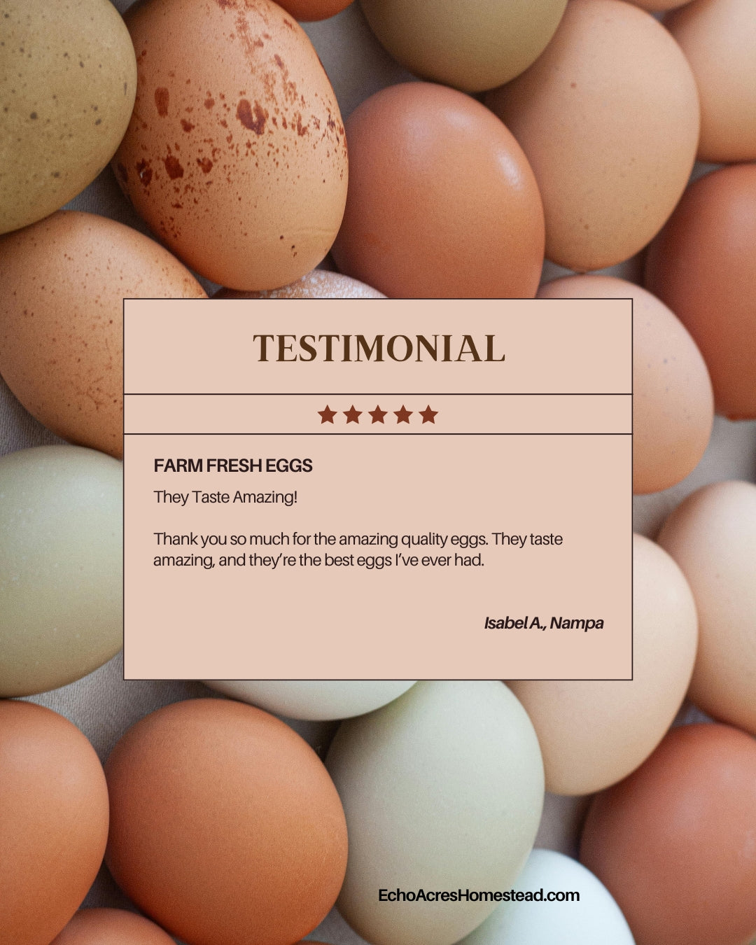Non-GMO Soy Free Rainbow Eggs - One Dozen - Free Delivery | Tuesdays | Payette, Canyon, Ada, Malheur Counties