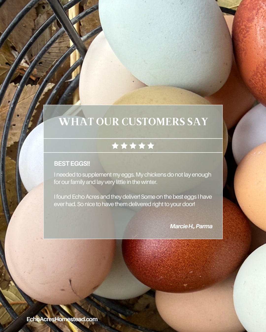 Non-GMO Soy Free Rainbow Eggs - One Dozen - Free Delivery | Tuesdays | Payette, Canyon, Ada, Malheur Counties
