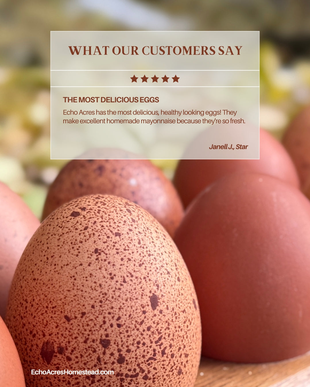 Non-GMO Soy Free Rainbow Eggs - One Dozen - Free Delivery | Tuesdays | Payette, Canyon, Ada, Malheur Counties