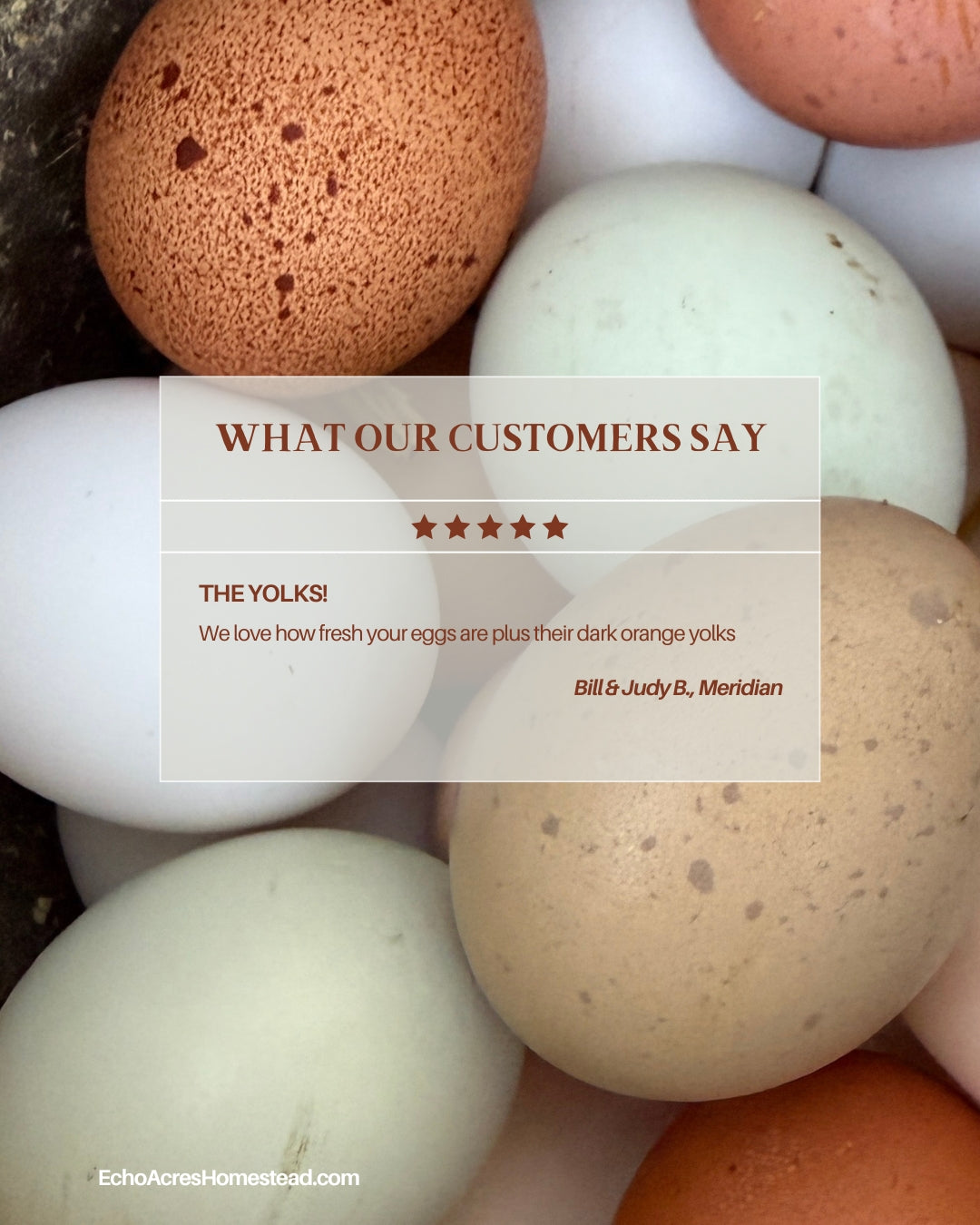 Non-GMO Soy Free Rainbow Eggs - One Dozen - Free Delivery | Tuesdays | Payette, Canyon, Ada, Malheur Counties