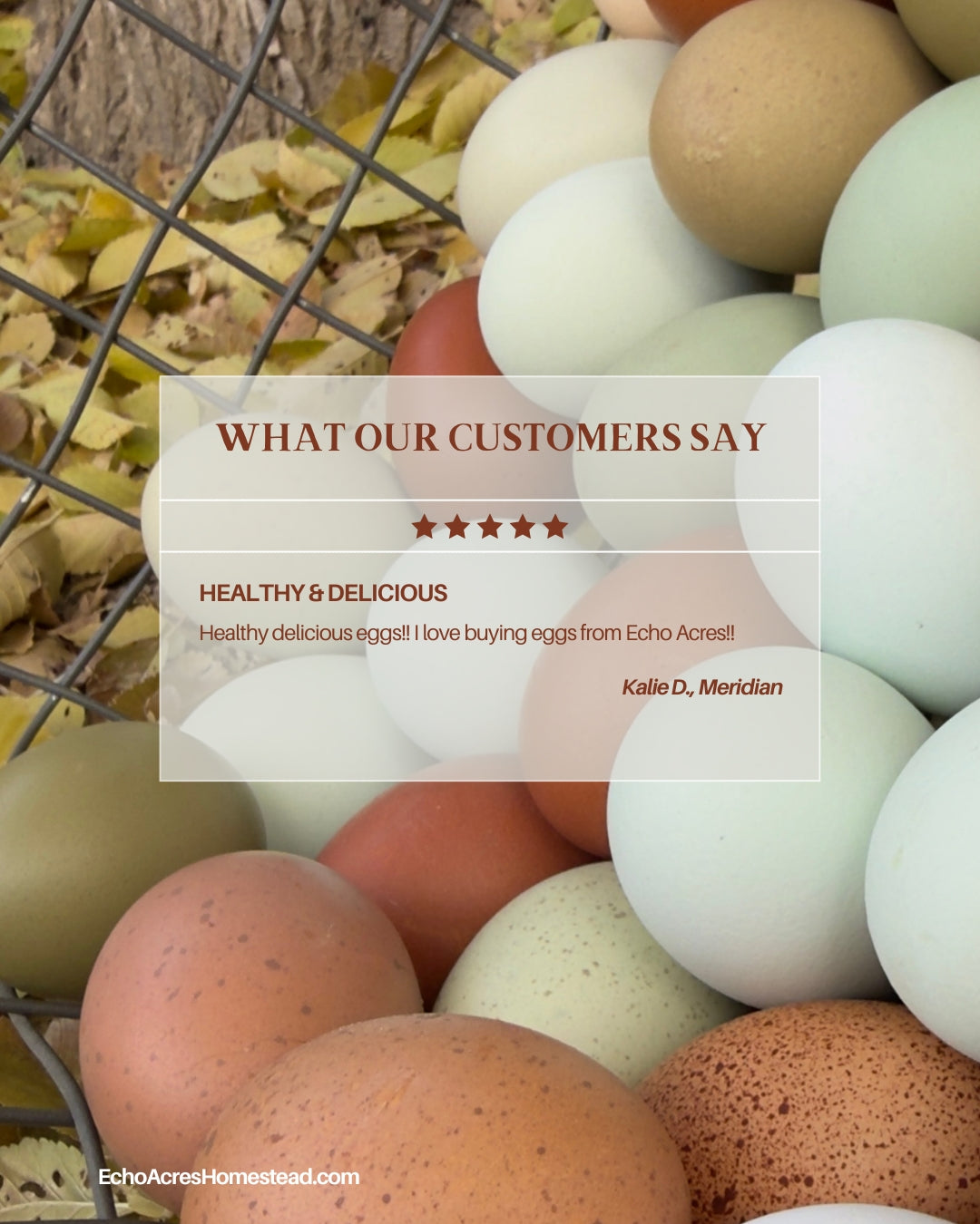 Non-GMO Soy Free Rainbow Eggs - One Dozen - Free Delivery | Tuesdays | Payette, Canyon, Ada, Malheur Counties