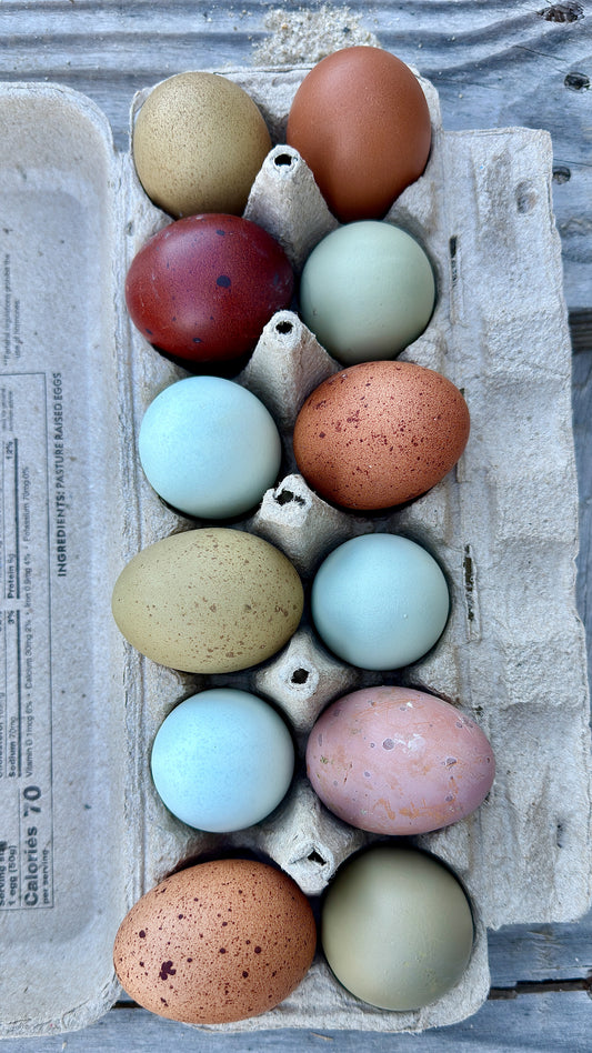 The Eden Line – Hatching Eggs January Delivery