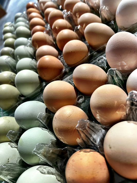 Non-GMO Rainbow Eggs - One Dozen - Free Delivery | Tuesdays | Payette, Canyon, Malheur Counties